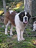 Valdez